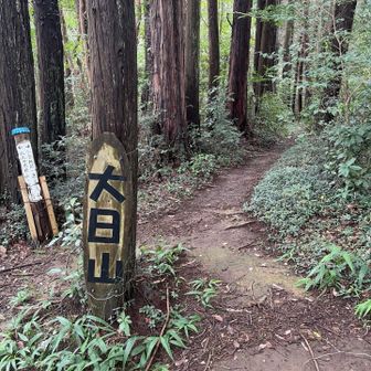 3座目
この山行中、ずっと蜘蛛の巣との闘いでした👊
多過ぎ💦