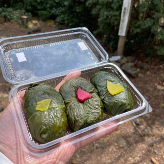 十津川村の道の駅で買った弁当　めはり寿司
見栄えも味も最高です