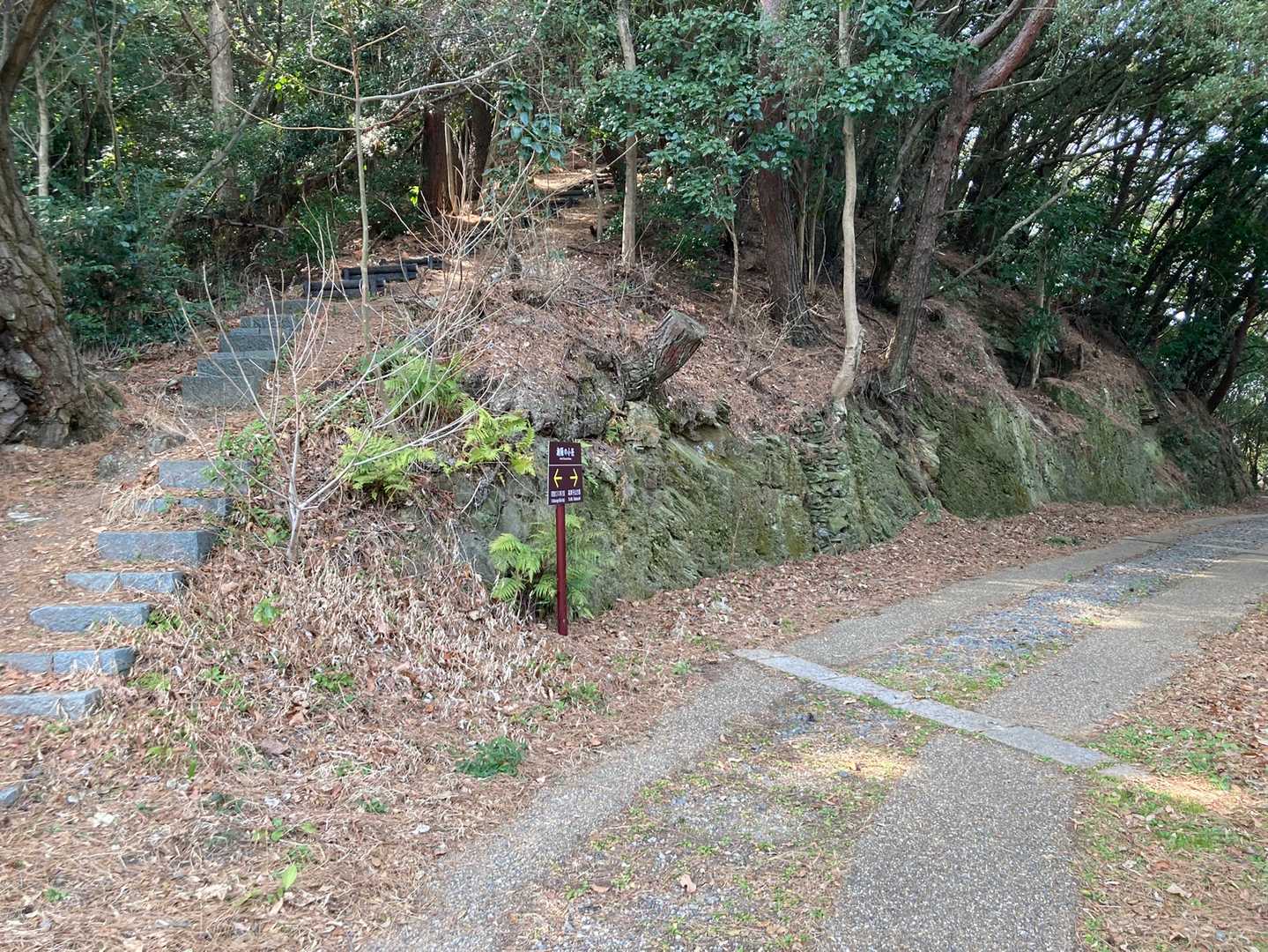 ⬆️天神山　↗️潮騒の小径
