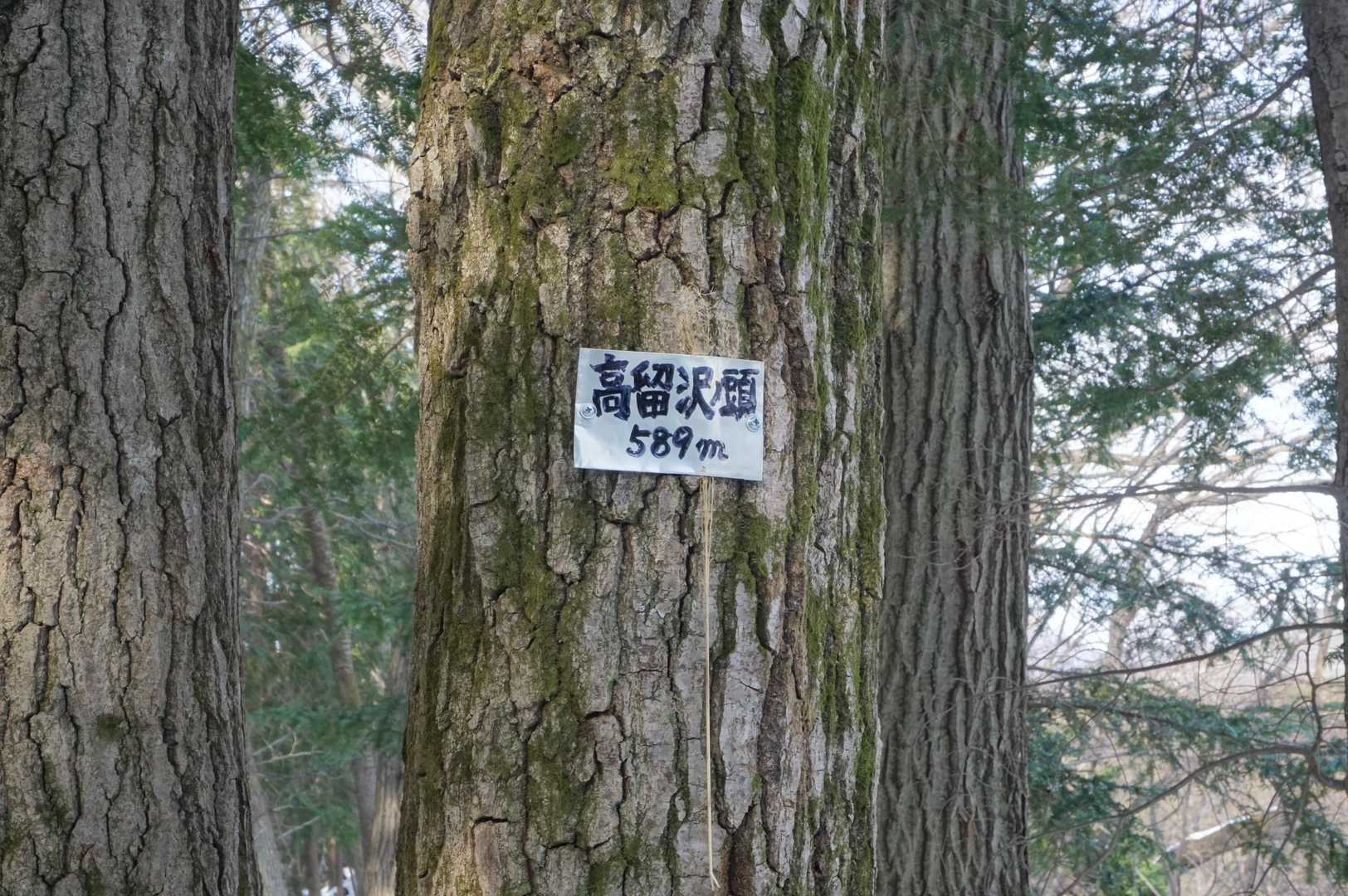 ジャンクションのような山頂。
今日は下山するけど反対に進むと戸倉三山の方に行けるみたい…