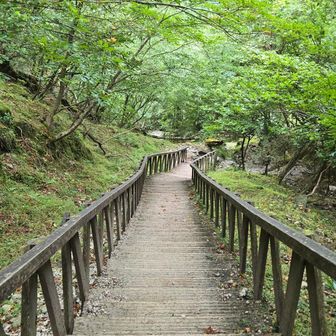 雨風はない別世界
