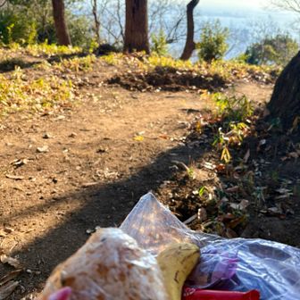 ここでエネルギー 米補給