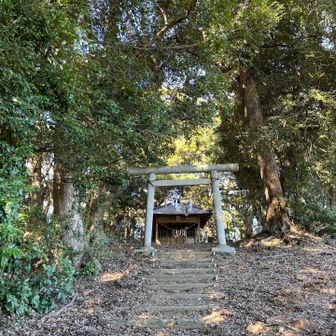 今度は鳥居をくぐってお参りを