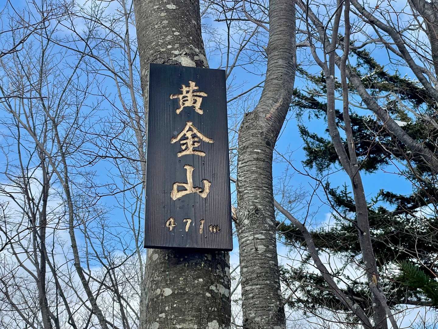 すごっ！
ゴージャスな山頂看板