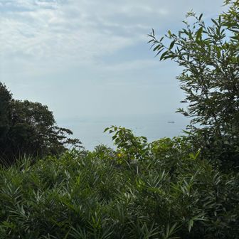 後ろは海