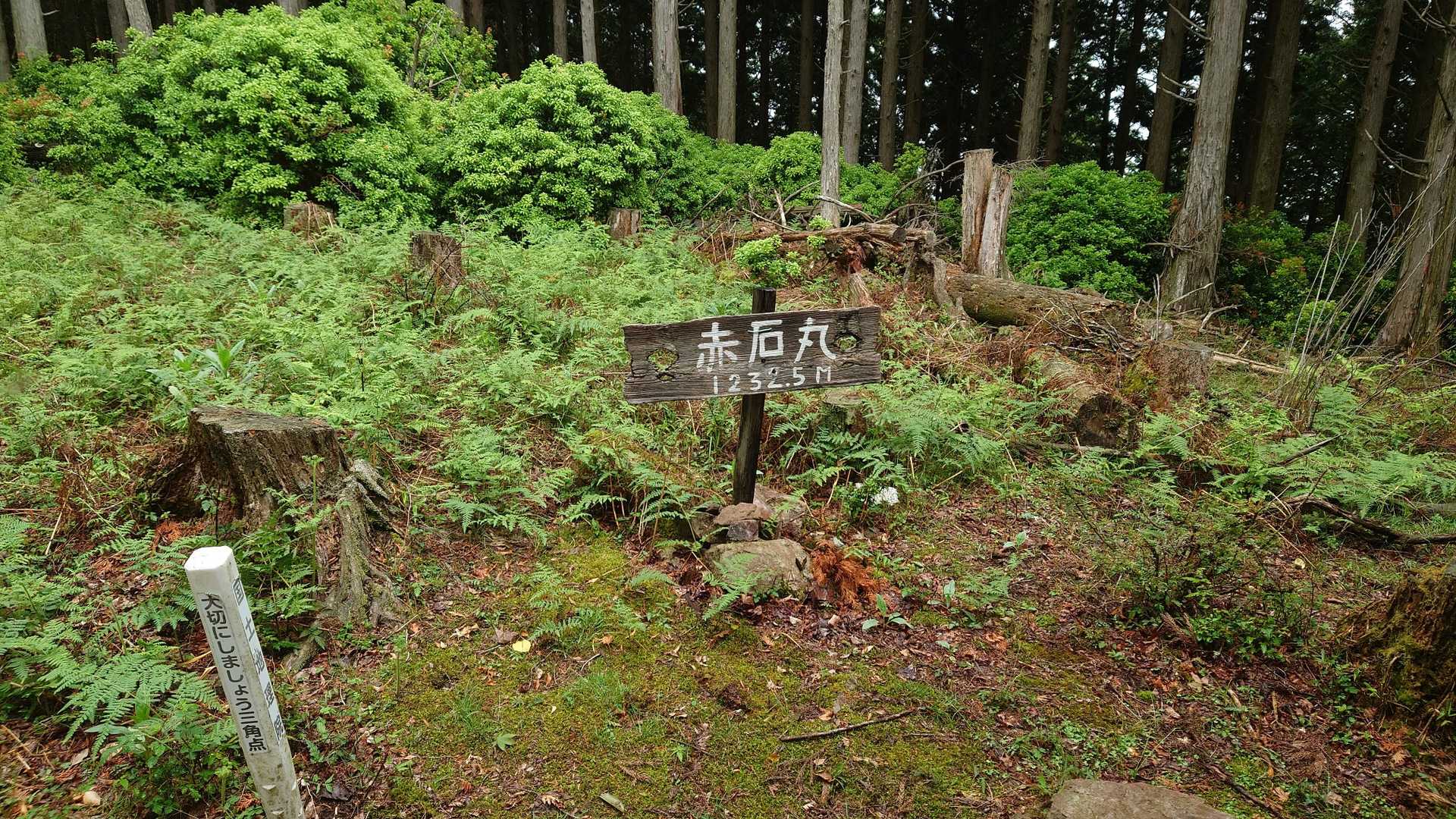高丸山登山口-三つ尾の峠-高丸山-旗立山-赤石丸 周回コースの写真