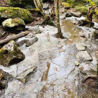 凍ってるとこもちらほら