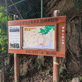 足がヘトヘト。ローカットシューズは、下山時、つま先がガンガン当たって痛い。