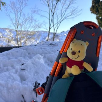 山頂までのドキドキ感も落ち着いてきたので、ようやくPooh様ショットを撮ることができました。