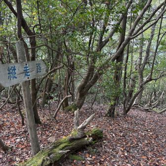 鳥羽上山　初体験　281ｍ🚩
鳥羽上山　一筋縄では　にゃい(281)🐱