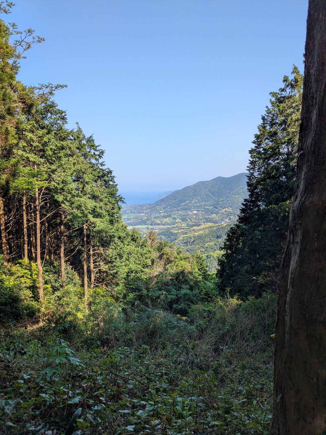 湯川山が見えますが沖ノ島はさっぱり残念。