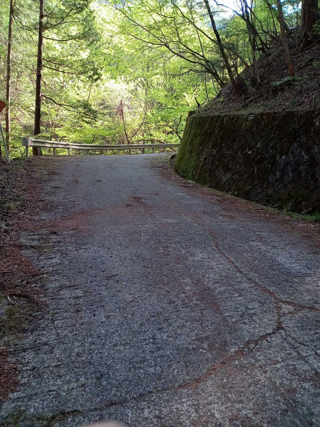 急勾配の林道