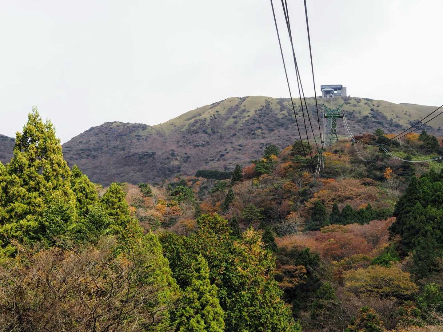 箱根園駅-白龍神社-防ヶ沢登山口入口-防ヶ沢登山口-箱根駒 往復コースの写真