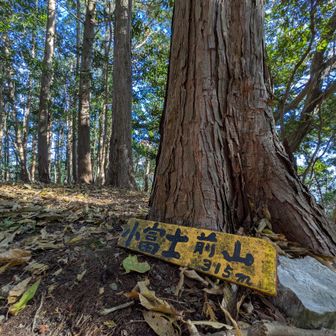 小富士山前山　315m