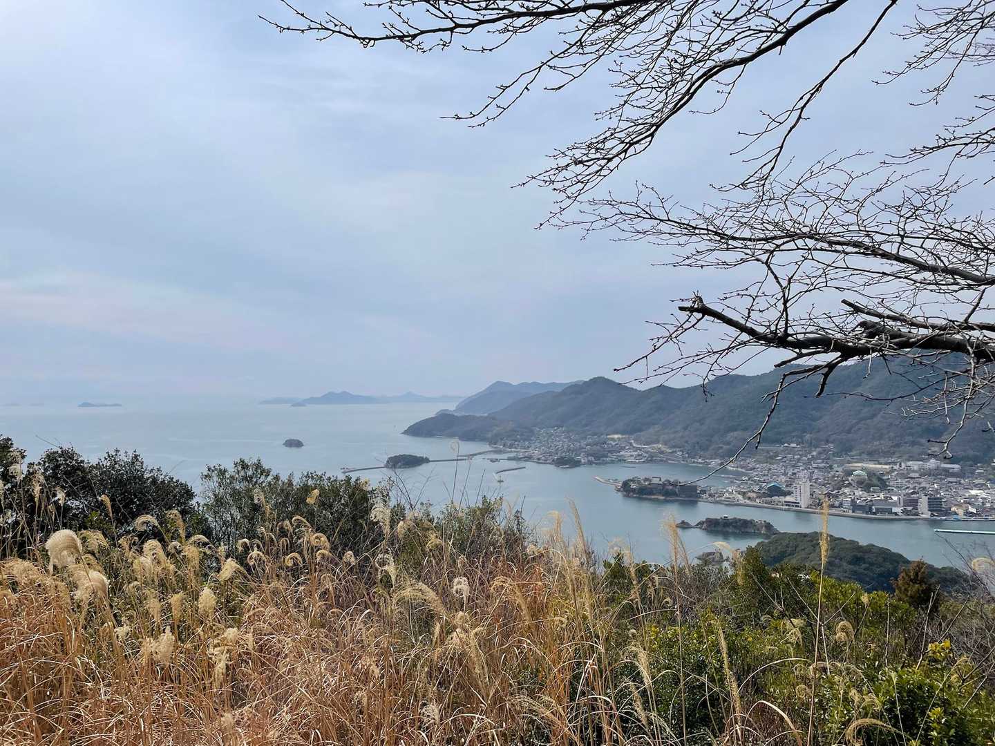大弥山（おおみせん）159m🙌