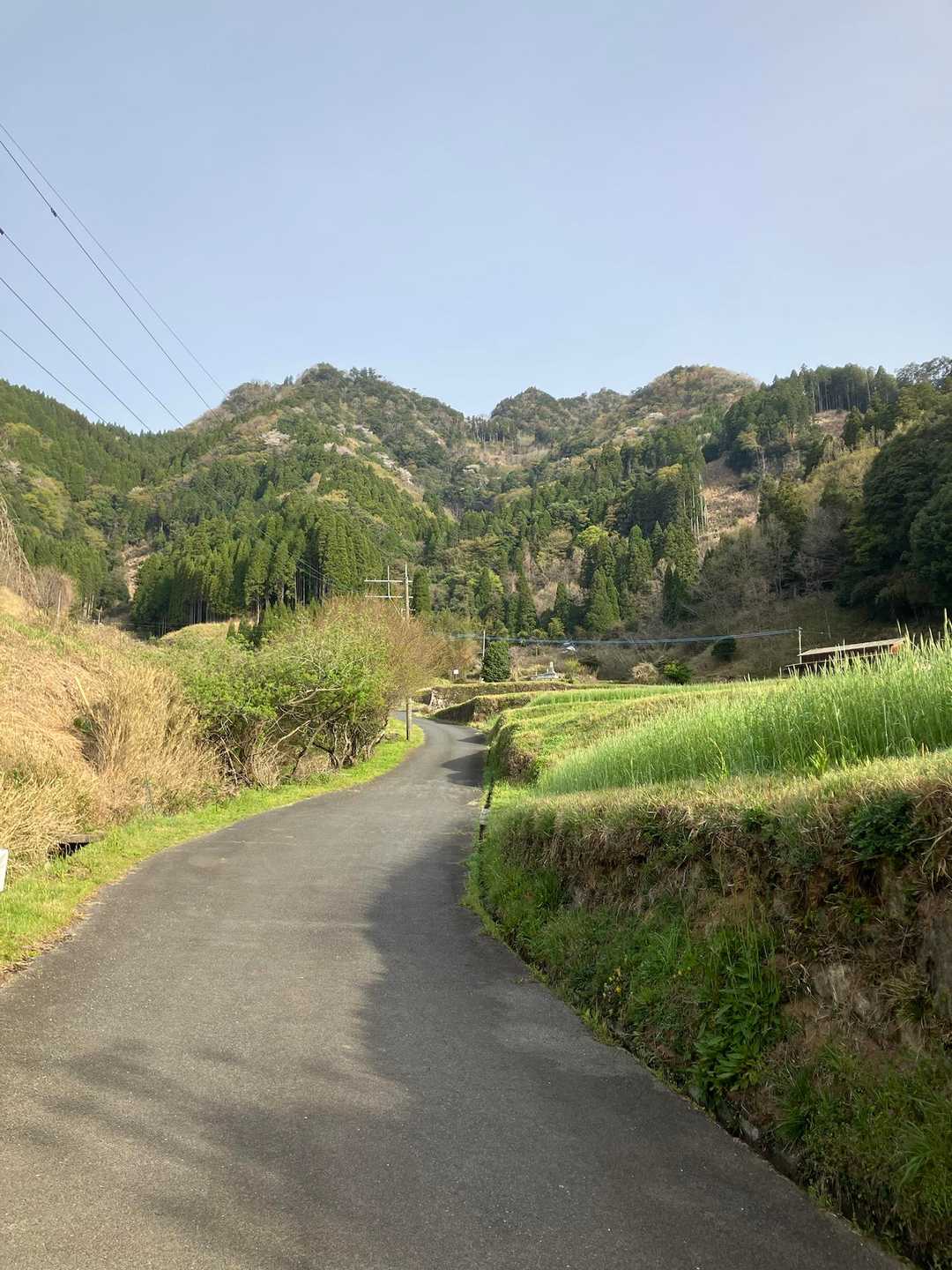いっけん普通の里山に見えますが、急登続きのハードな山登りになりました💦