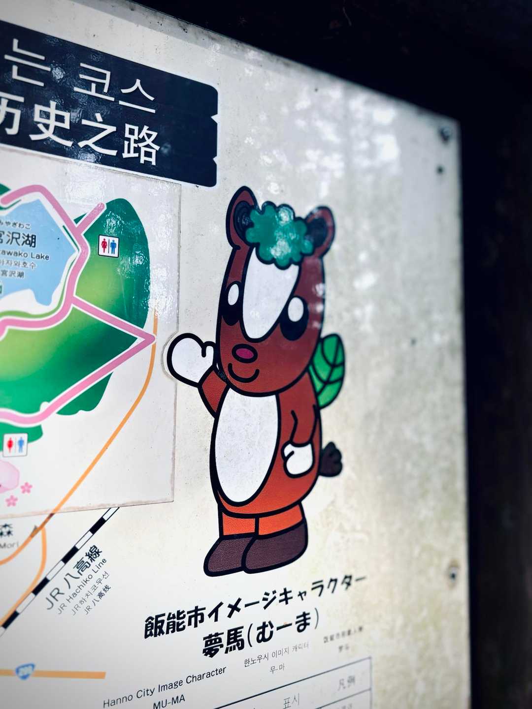 知らなかった…