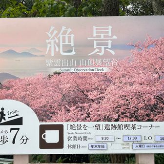絶景🌸