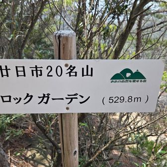 ｢ロックガーデン｣に到着✨
お昼ごはんを食べている方々が🫠
