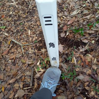 ひとりぼっちの三角点