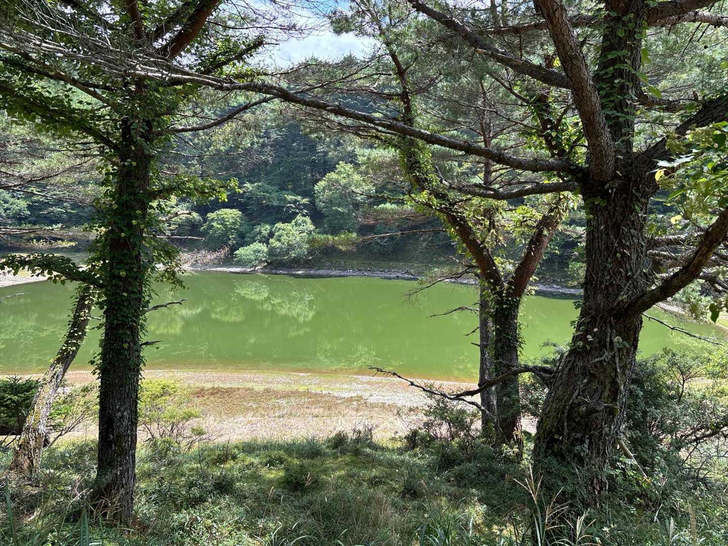 午後の部は丸笠山を目指します
写真は入り口の夫婦池、水嵩がだいぶ少ない様子