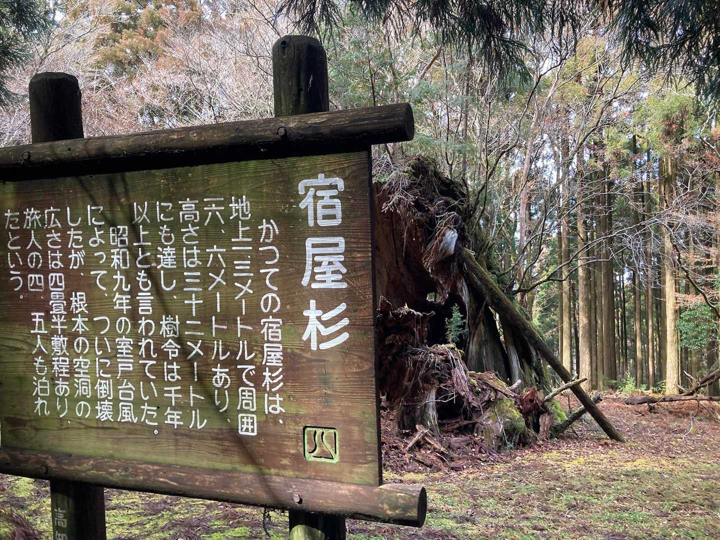 着きました。