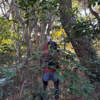 撮ってるところを撮る