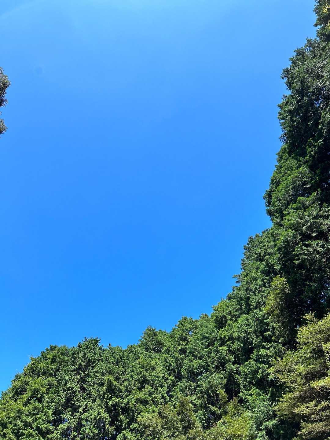 見上げると青い空が眩しかった🔵
整いました、ありがとうございます😊😊😊