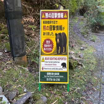 気をつけて〜って言われても…ね…🐻
電車の時間に間に合うように走る🏃‍➡️