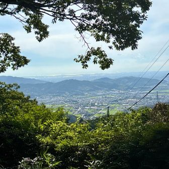 休憩スポットからの眺望