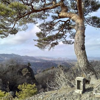 鍋足山山頂のシンボル、一本松