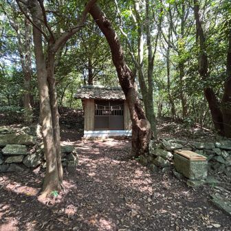 坊ヶ峰山頂にあるお社
秋葉大権現が祀られてます