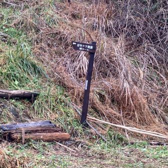 ここから下ってきました。