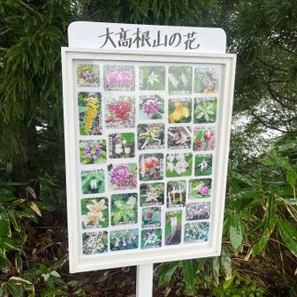山頂には花図鑑が。撮影日も記された丁寧な観察記録。
