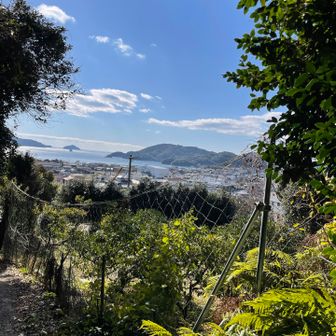 町が見えてきた。もうすぐゴール。