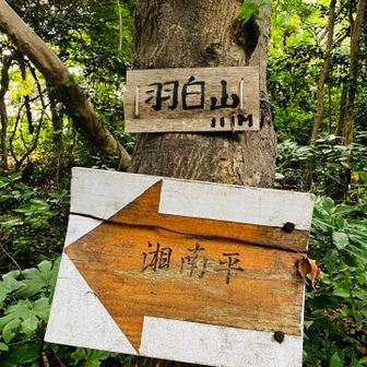 通路っぽい場所だけど一座目
