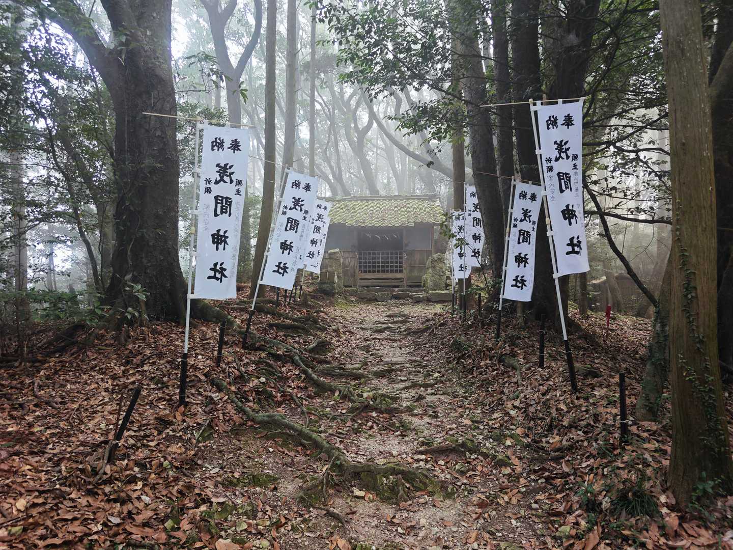 大山浅間社-本坂峠-坊ヶ峰 周回コースの写真