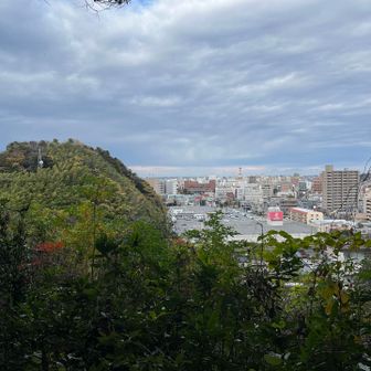 下山中眺望あり
先程の飯山城跡🏯がみえます