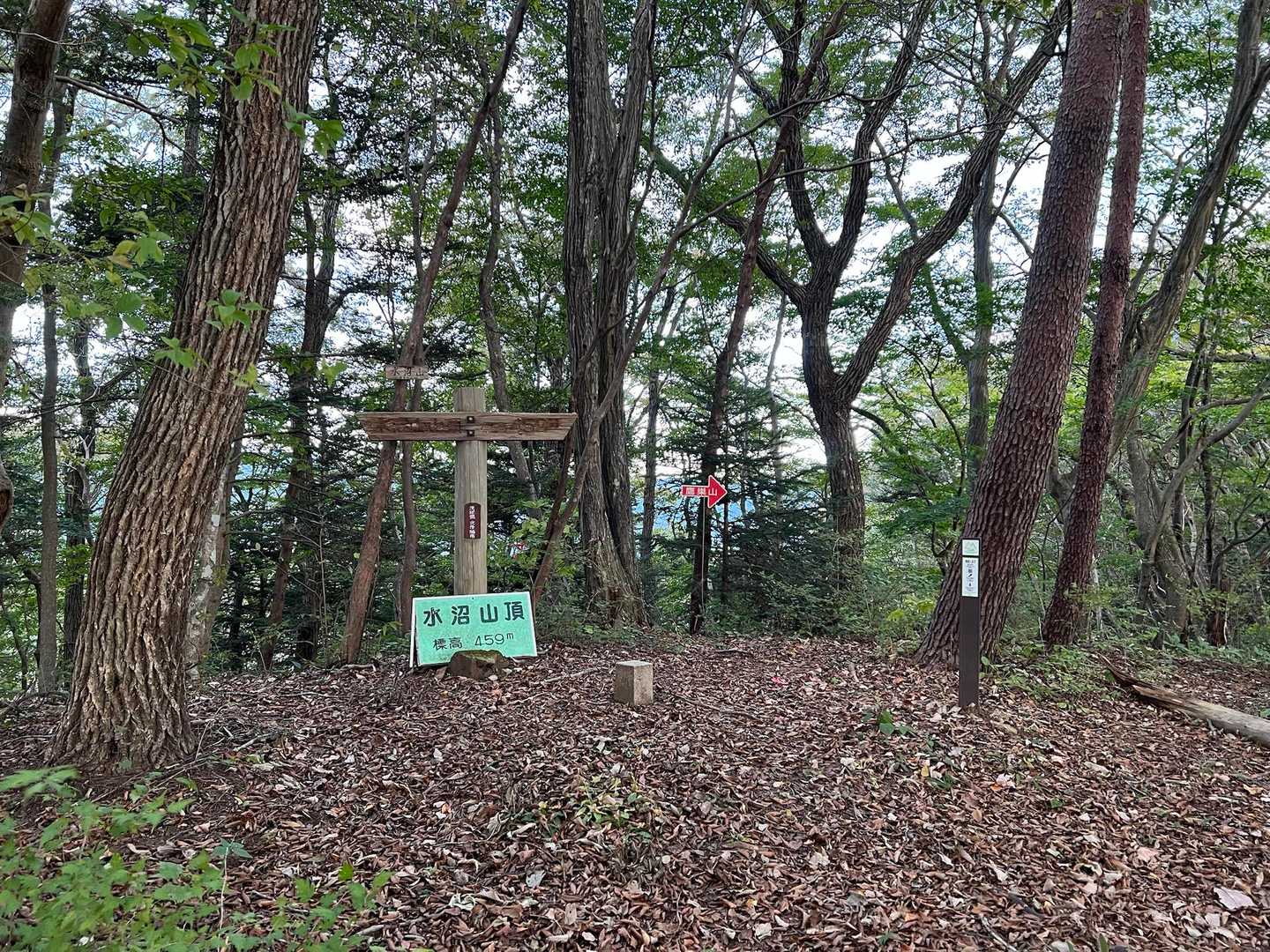 まずは水沼山頂上到着です。木々に囲まれているので鷹巣山も見えません。