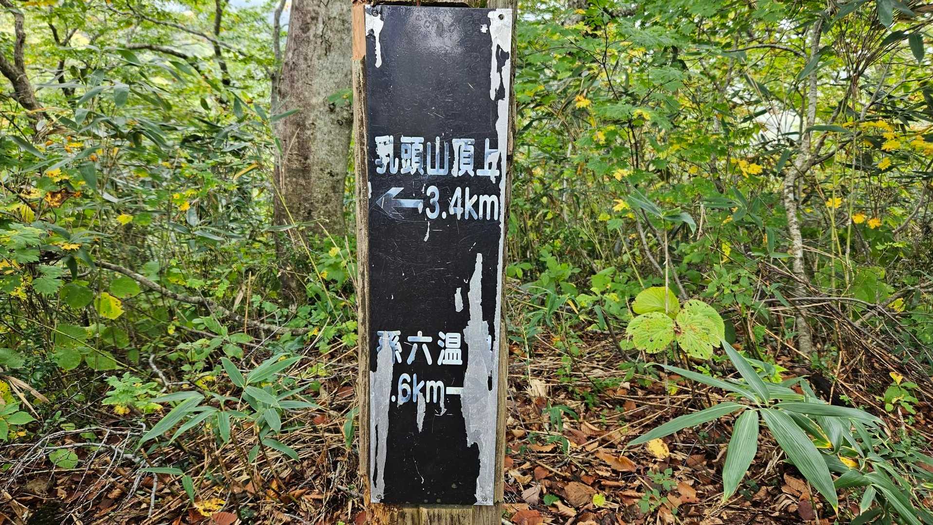 分岐