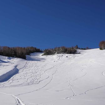 営業開始前の乗鞍スノーリゾート。
コース内だからバックカントリーとは言わない？