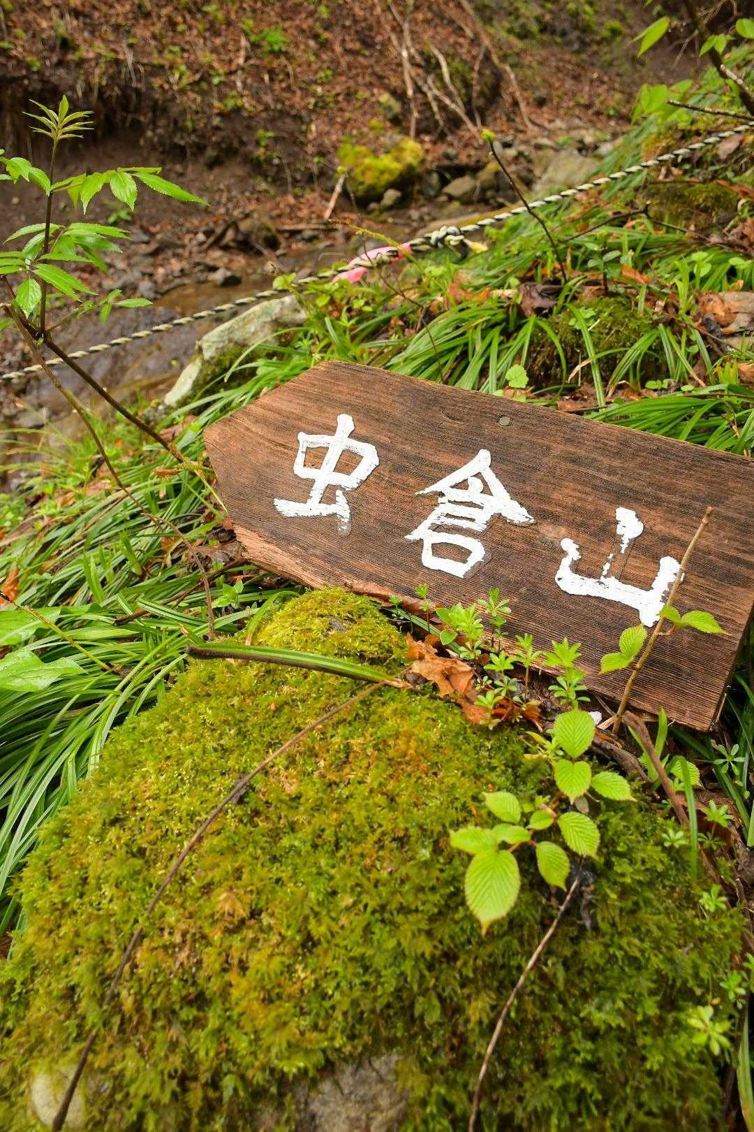 虫倉山登山道入口-虫倉山 往復コースの写真