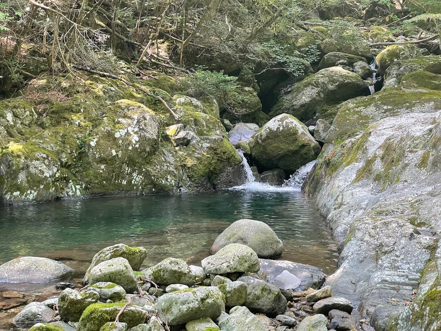 渓谷美に癒されます