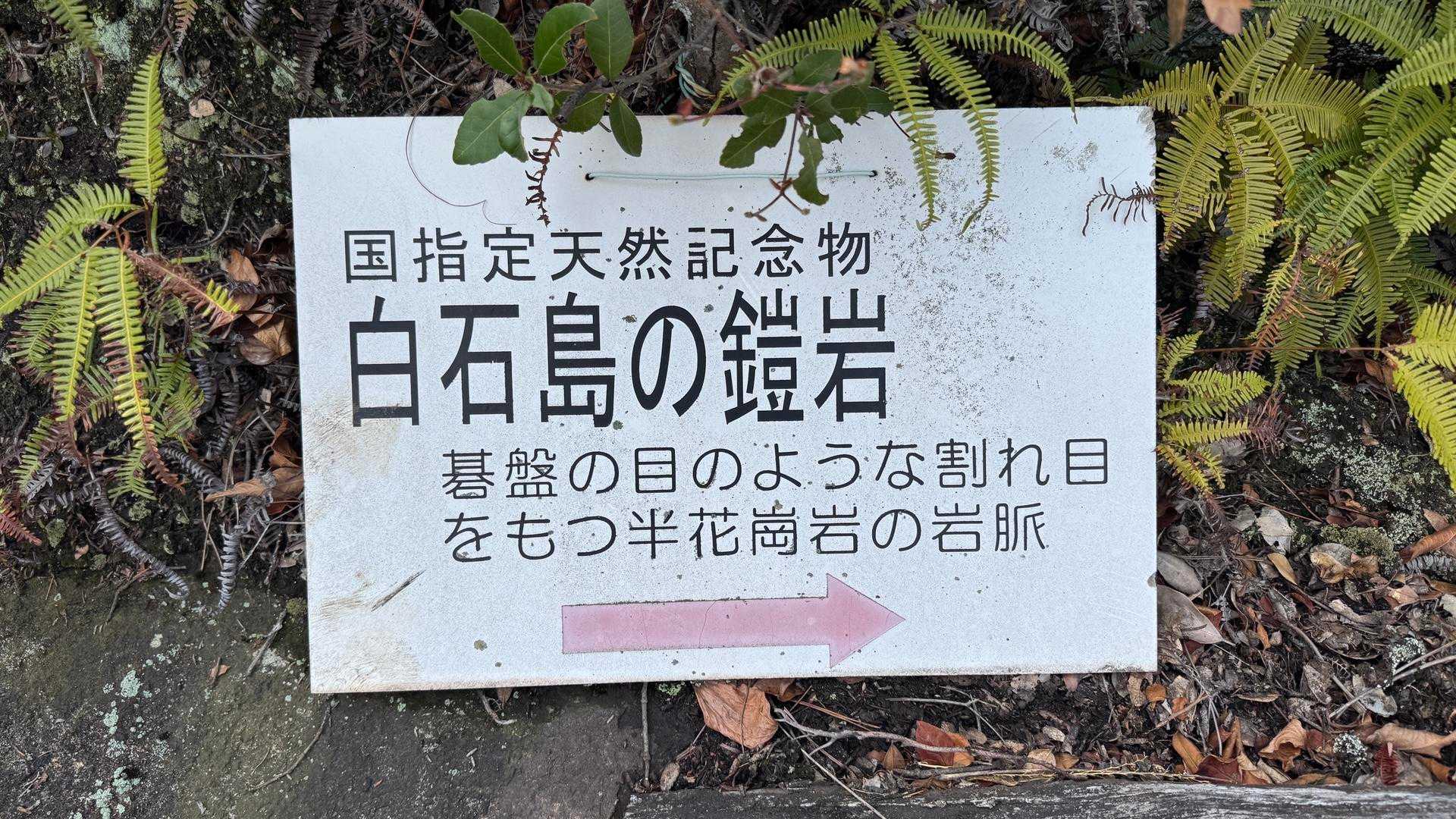 こっちに鎧岩がありました