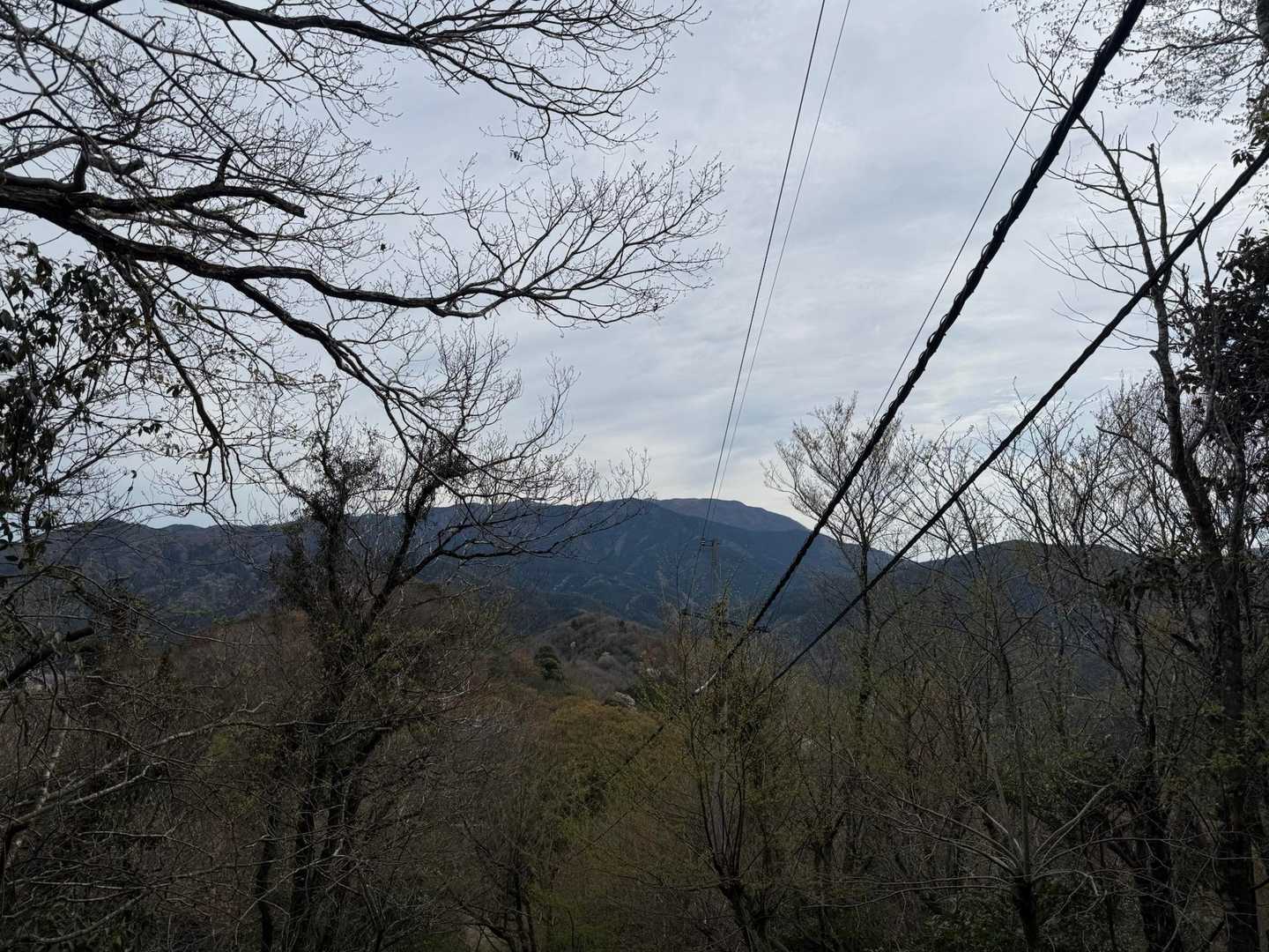 霊仙山も見えてきます