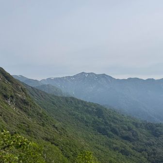 別山見えた！