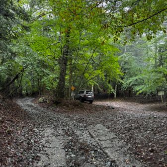 登山口付近で道が二手に分かれています。
左が車道で右が登山道。
どちらからでも登れます！
