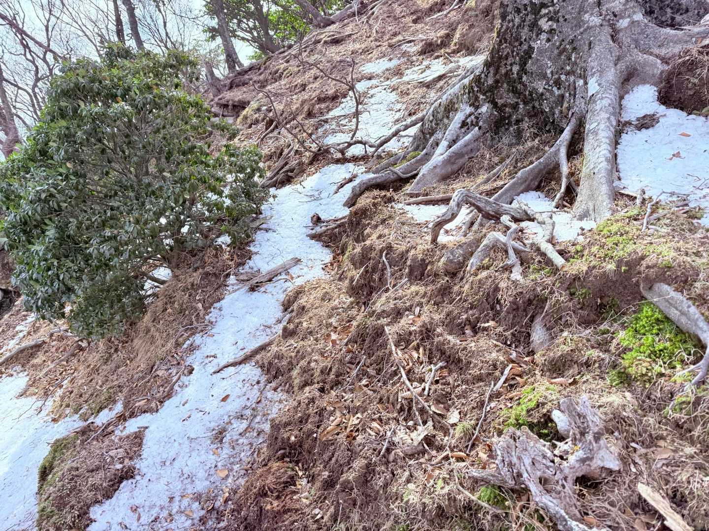 残雪？霧氷の残骸？
