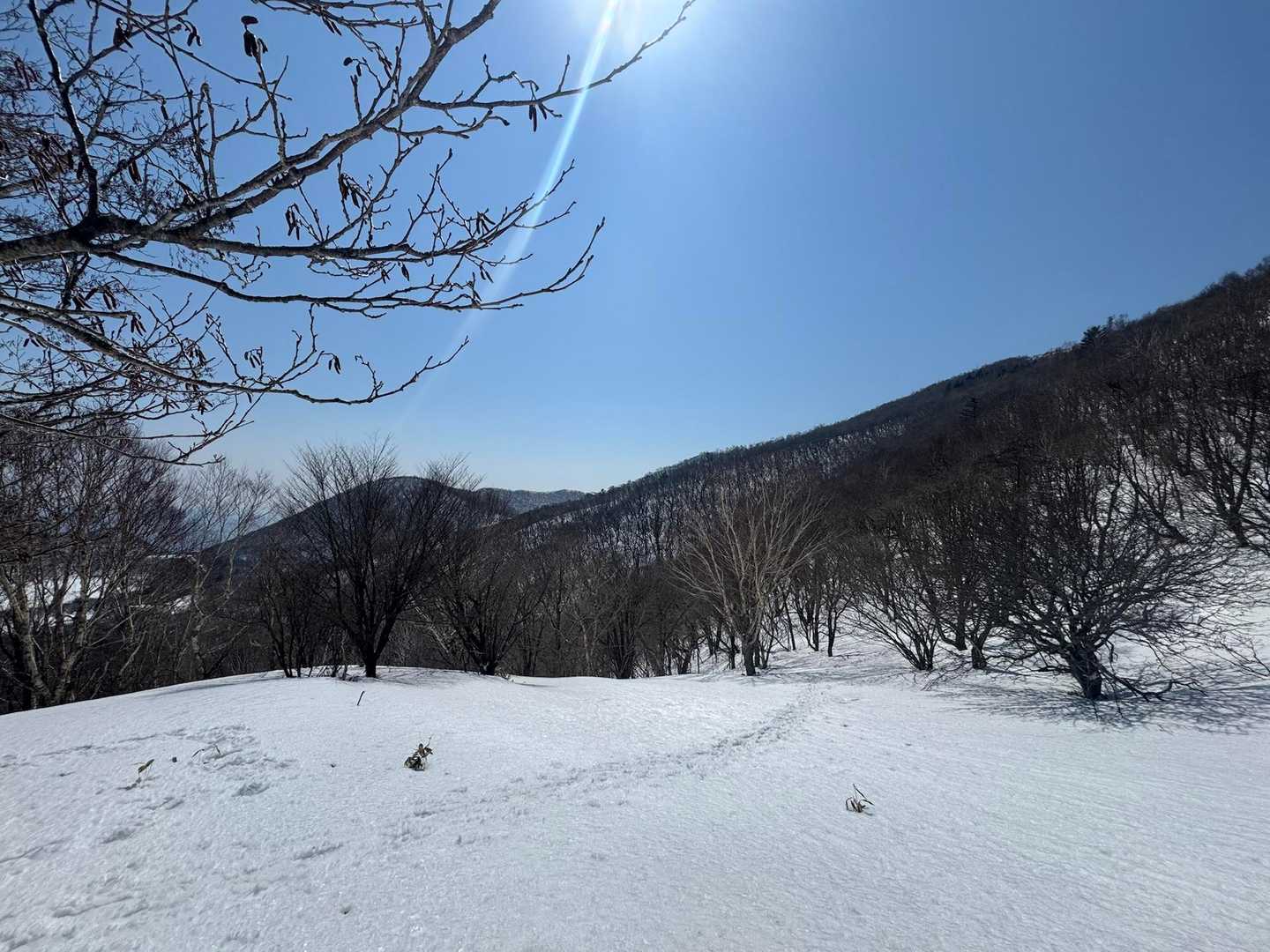 地蔵岳取付-高天原-地蔵岳登山口-八丁峠-長七郎山-赤城山 周回コースの写真
