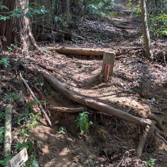 加賀田山の登山口！